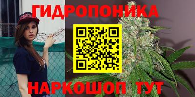 гидропоника Ижевск