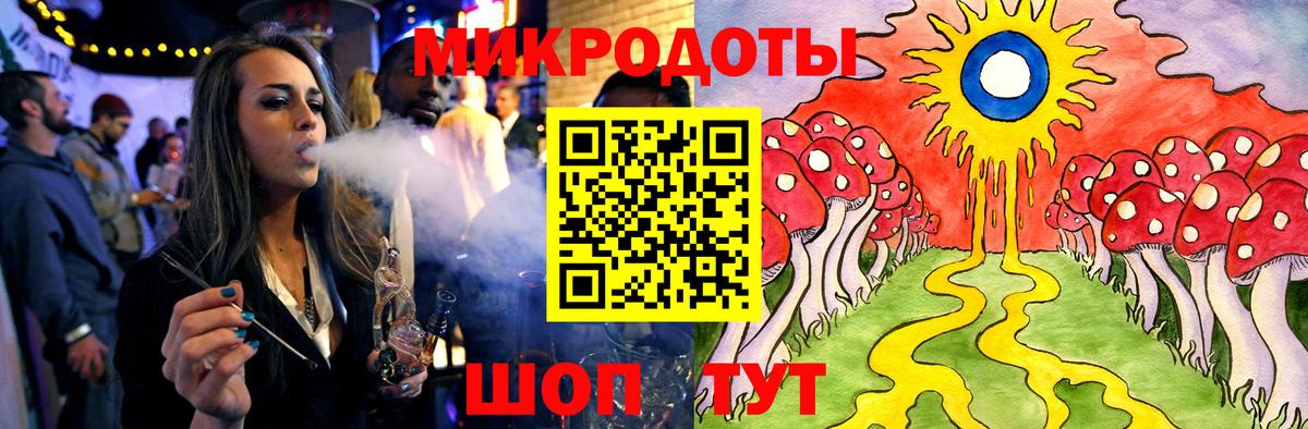 Галлюциногенные грибы Psilocybine cubensis Черняховск