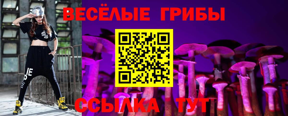 Черняховск  Псилоцибиновые грибы Psilocybe  Вход с VPN  Галлюциногенные грибы прущие грибы 